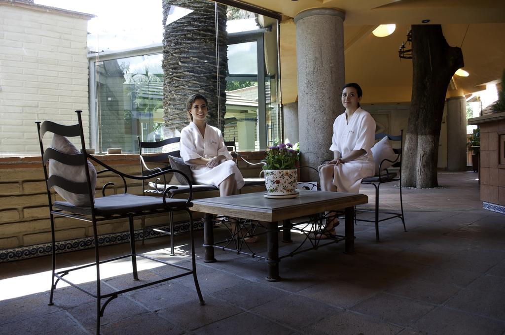 Oaxaca Hotel Los Olivos Spa מראה חיצוני תמונה