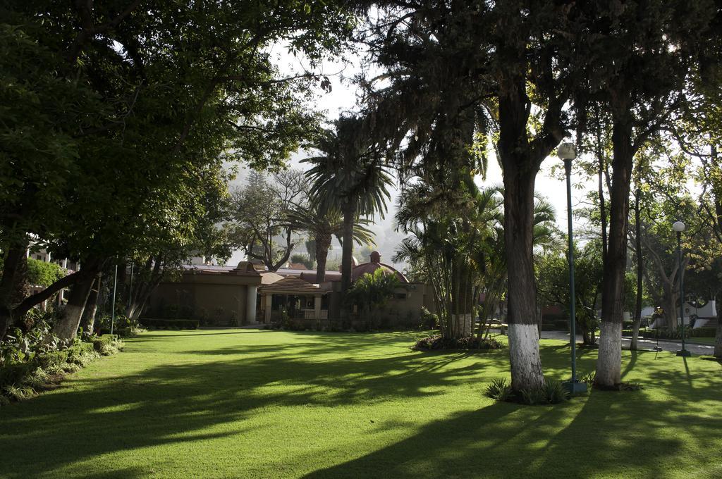 Oaxaca Hotel Los Olivos Spa מראה חיצוני תמונה