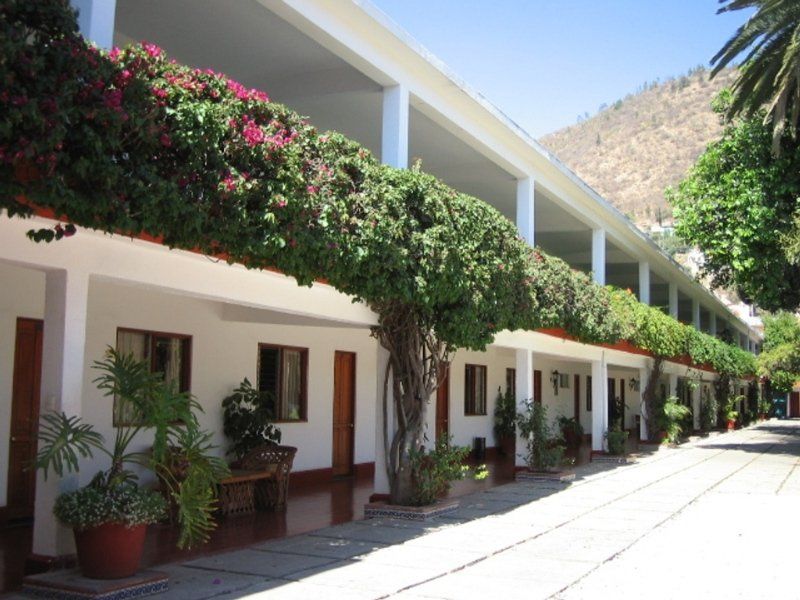 Oaxaca Hotel Los Olivos Spa מראה חיצוני תמונה